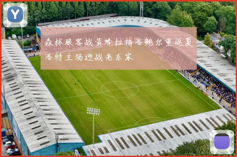 森林狼客战黄蜂拉梅洛鲍尔重返夏洛特主场迎战老东家