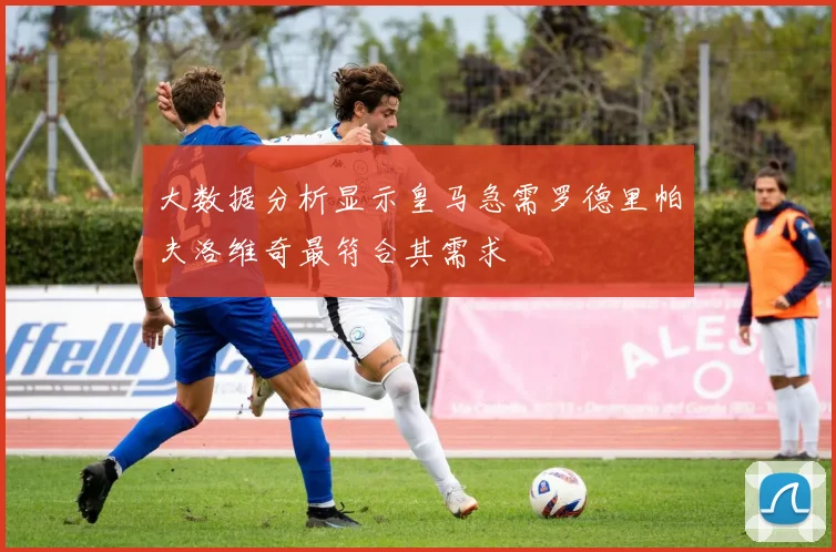 大数据分析显示皇马急需罗德里帕夫洛维奇最符合其需求